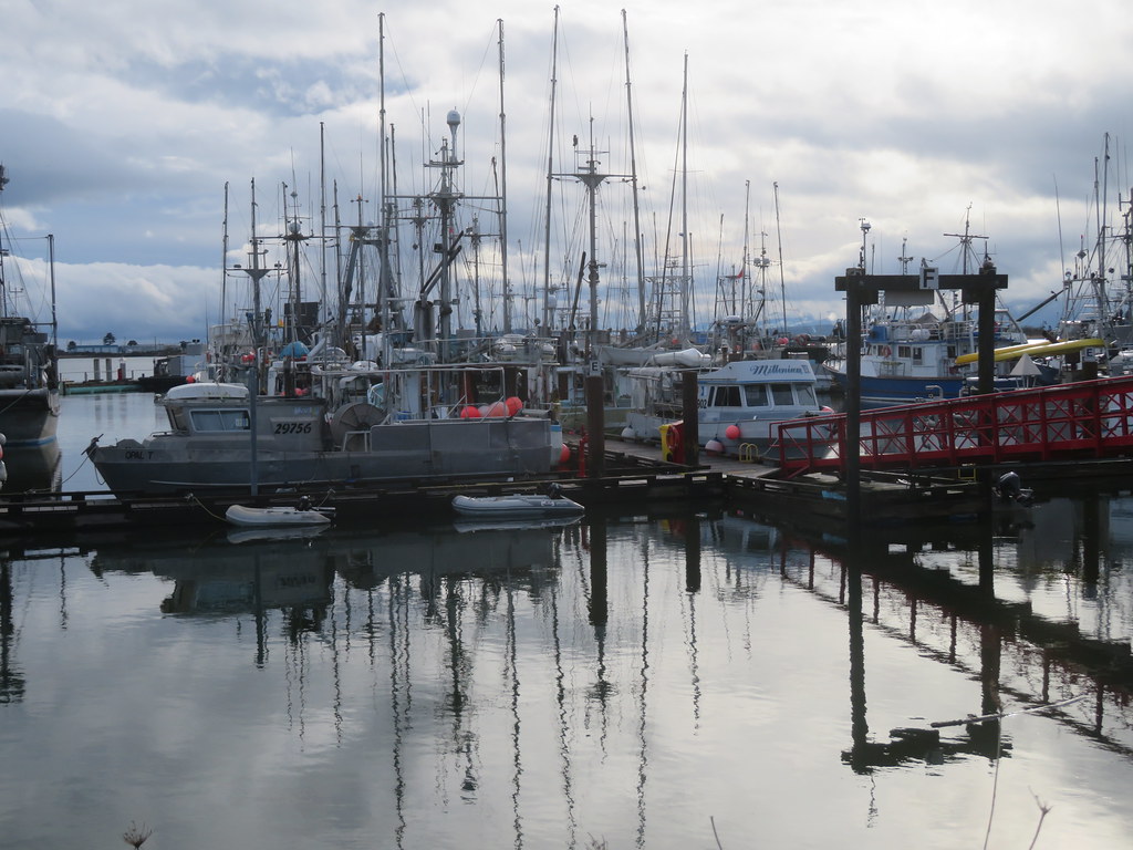 Comox Fisherman's Wharf.