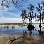 Lunch Spot - St. Johns River - Bayard Conservation Area - Green Cove Springs, FL