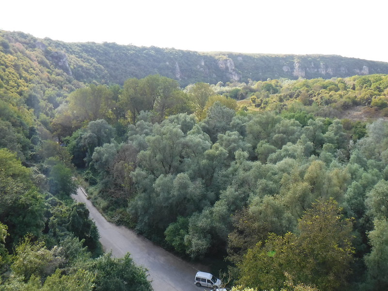 DSCF5477