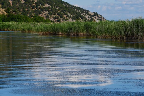 prespalakes greece landscape smallprespalake macedonia mikriprespa lake