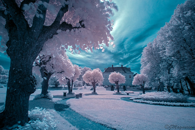 With infrared filter