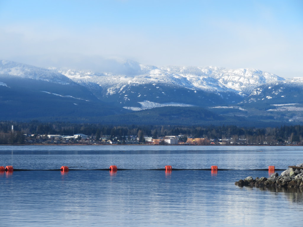 Taken from the Marina in Comox .