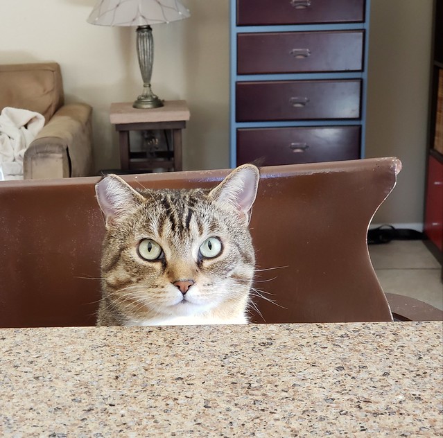 Waiting for breakfast