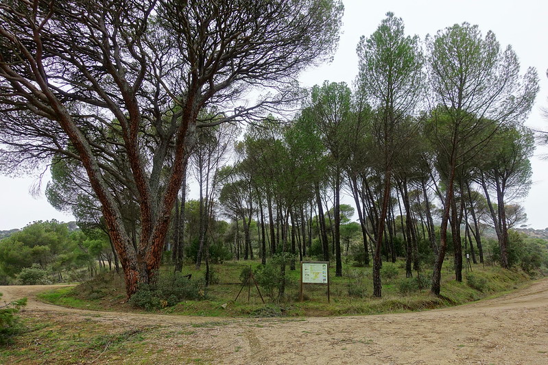 Senda del Yelmo en el Pantano de San Juan (Madrid). - Comunidad de Madrid: pueblos, rutas y lugares, incluyendo senderismo (11)