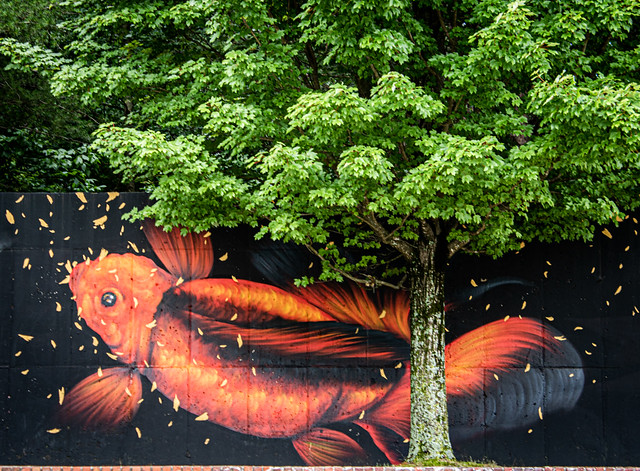 Fish and tree