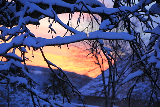 Lorraine France Lothringen Frankreich : Lever de soleil sous la neige, Sonnenaufgang unter dem Schnee, sunrise under tbe snow.