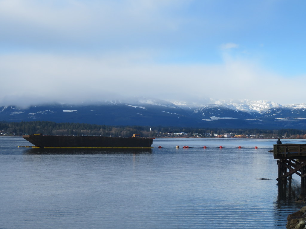 A view from the pier at the Comox Marina
