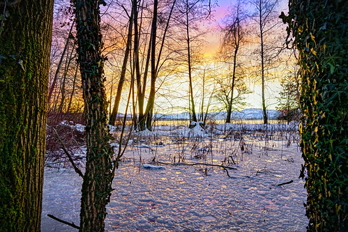 clouds cold colorful d850 dawn fällanden greifensee lake landscape morning nikon pretty scenery shore sky snow sunset switzerland trees view winter zürich sunrise