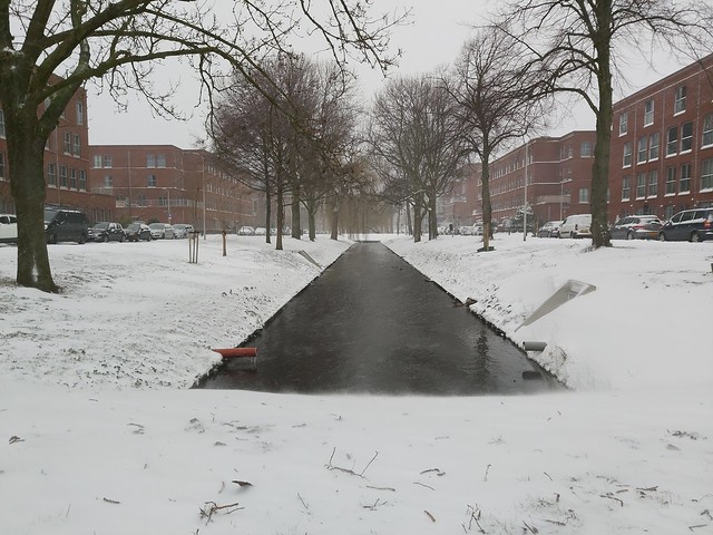 Snowy Hoogeveenlaan