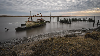 Remnants of Delaware Bay's Once Thriving Oyster Industry