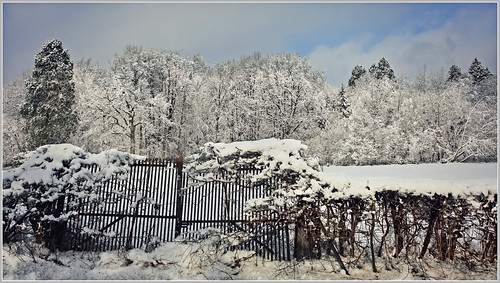 claudelina belgique belgium belgië provincedeliège sprimont dolembreux hiver winter neige snow paysage landscape