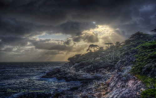 pebblebeach sunset colorful sun crepuscularrays trees montereycypress clouds