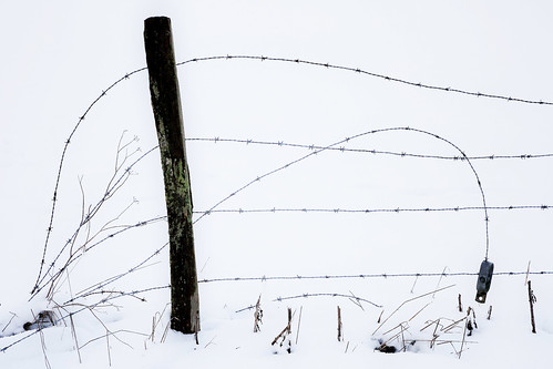 claudelina belgique belgium belgië provincedeliège sprimont dolembreux hiver winter neige snow paysage landscape