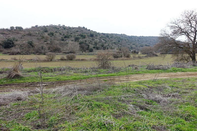 Senda de Valmores y Nuevo Baztán. Olmeda de las Fuentes (Madrid). - Comunidad de Madrid: pueblos, rutas y lugares, incluyendo senderismo (23)