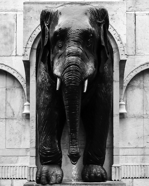 Fontaine des Éléphants - Chambéry (73)