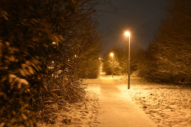 Night time snow