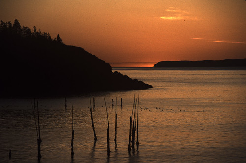 Early Morning Coast of Maine