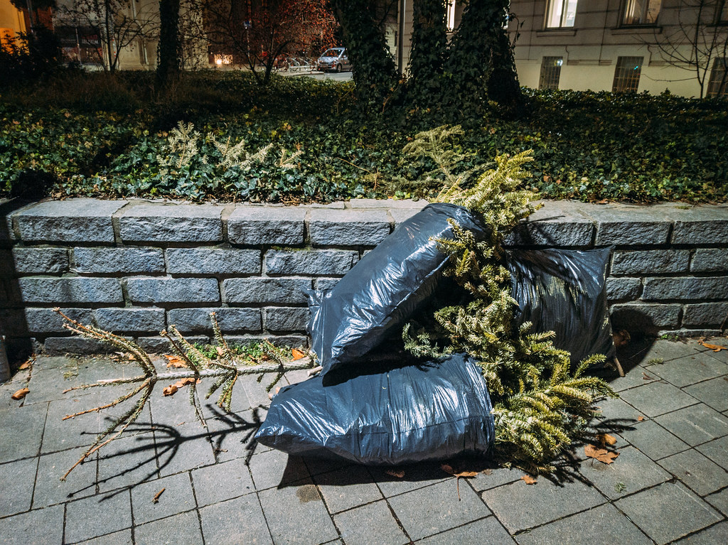 Used Christmas trees packed in black garbage bags left on … | Flickr