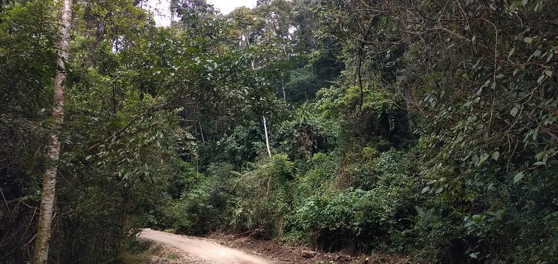 Nahá