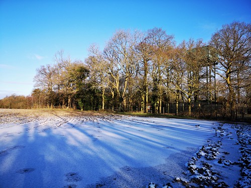 sunrise shadows field icy winter snow trees water tower wewlyn whitehill hertfordshire