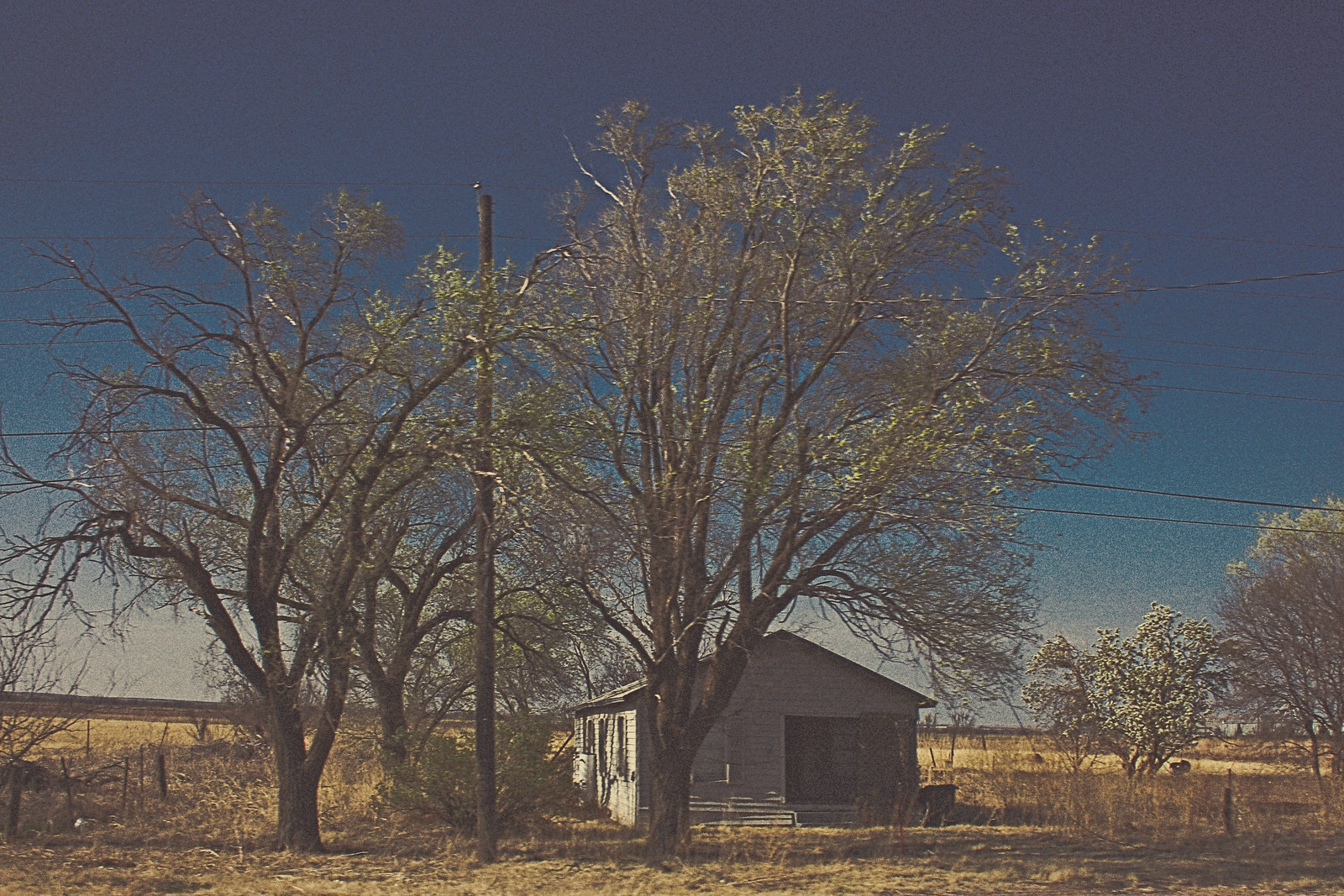 Beyond Chillicothe, Texas, 2008, Processed 2021