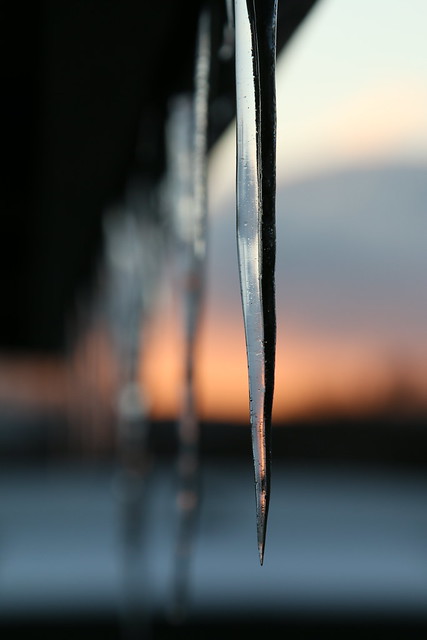 Shed Icicles At Dusk