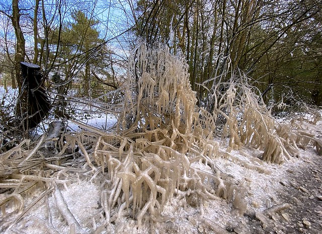 Frozen water splash sculpture art - near Weir Wood Reservoir - Feb 2021.