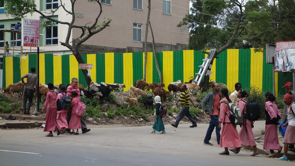 Streets of Addis: Schoolkids and goats