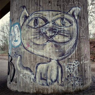 Le chat de Mühlburg | by HansimGlück