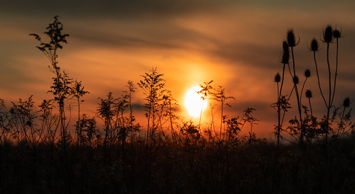 February 2021 - 09 by Roman Boldyrev, sunset landscape