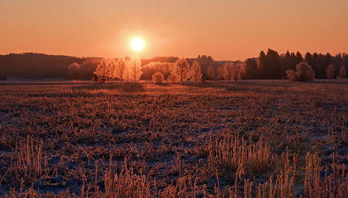 morgenstimmung sonnenaufgang frost licht himmel feld natur outdoor sun sunrise sky