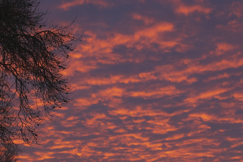 gedling nottingham nottinghamshire sunrise uk england clouds tree morning sky