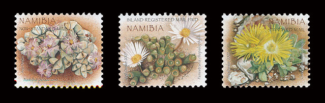 Namibia (2007, 3 v, mesembs)