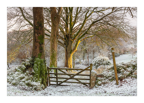 nature weather umbrella landscape snowflakes countryside path tripod country frosty devon gateway snowfall mothernature treescape winterscene circularpolariser dartmoornationalpark 5bargate leefilters cableremote 5dmk3 twogiantscoops devonoutback scoopsimageslife devonshireoutback trees winter snow sunrise canon dawn woods frost lee dartmoor atmospheric goldenhour manfrotto extremeweather moorland firstlight scoops okehampton goldenlight landscapephotography bridestowe cpfilter chasingthelight countryfile leefoundationkit softgrad iplymouth 2470mmf4 chrismarshall’simages photographersquest passionphotography explore mostinteresting explored inexplore