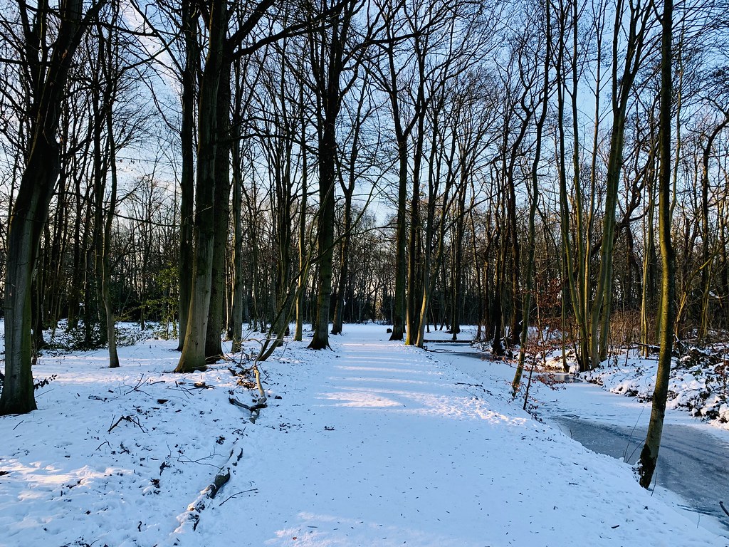 Leidsche hout park (Leiden, The Netherlands 2020)