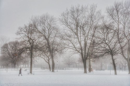 valterb view walk trees snow park parclafontaine landscape light montreal morning winter cold mist fog