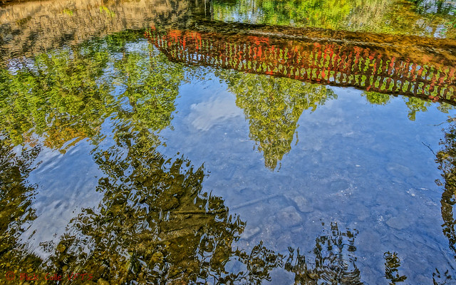 Reflections On Creek