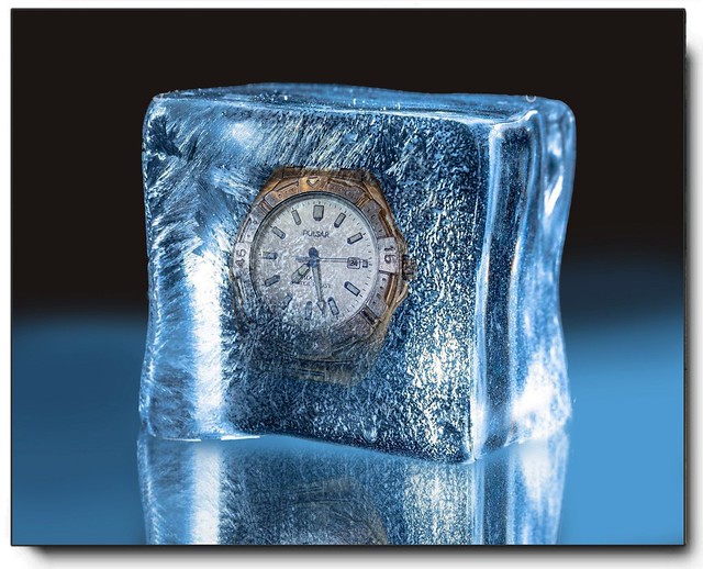 Frozen in Time.............