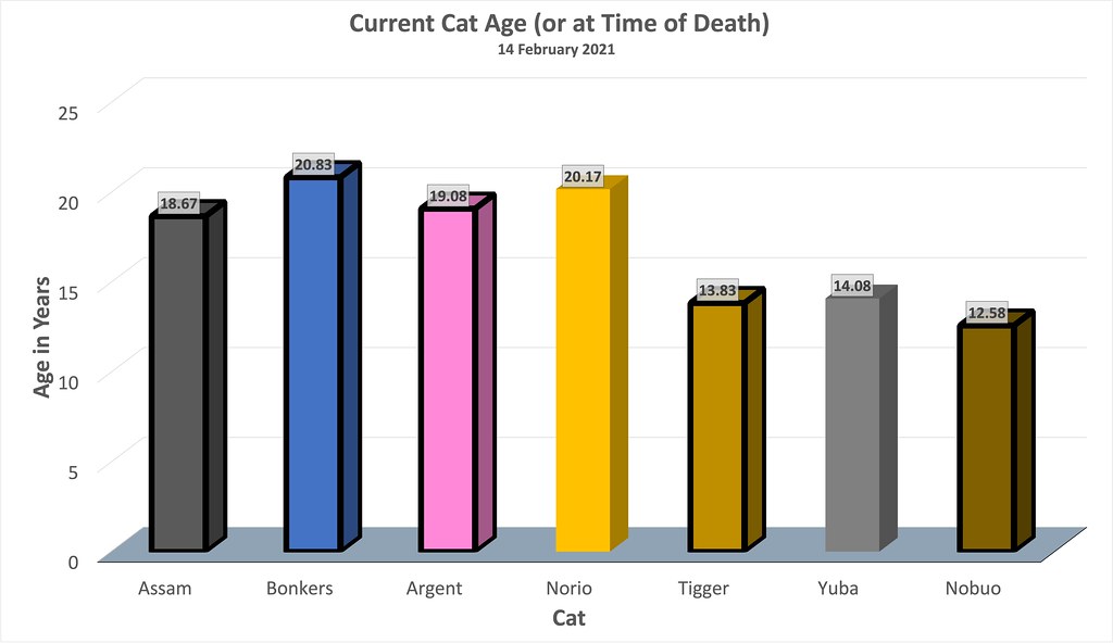 Cat Ages - Chart of the ages of our cats to now or when they… - Flickr