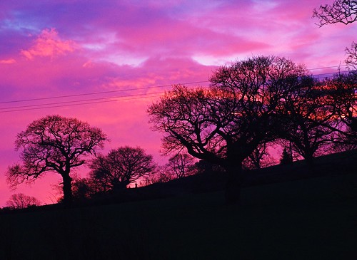sunrise betwsynrhos conwy northwales greatbritain uk unitedkingdom canon canoneos1200d tamron28300mmlens february2021 cerisesky magentasky cerise magenta trees silhouettes overheadpowercables overheadelectricwires fields hedgerows