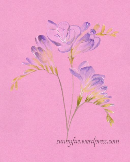 purple freesia flowers
