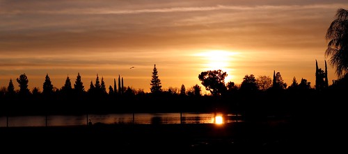 sunset sun setting down dusk evening fresno ca california pond lake water reflection wildgeese
