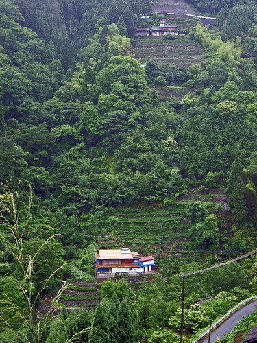 japan kyushu kumamoto iwaoku mountains terraces