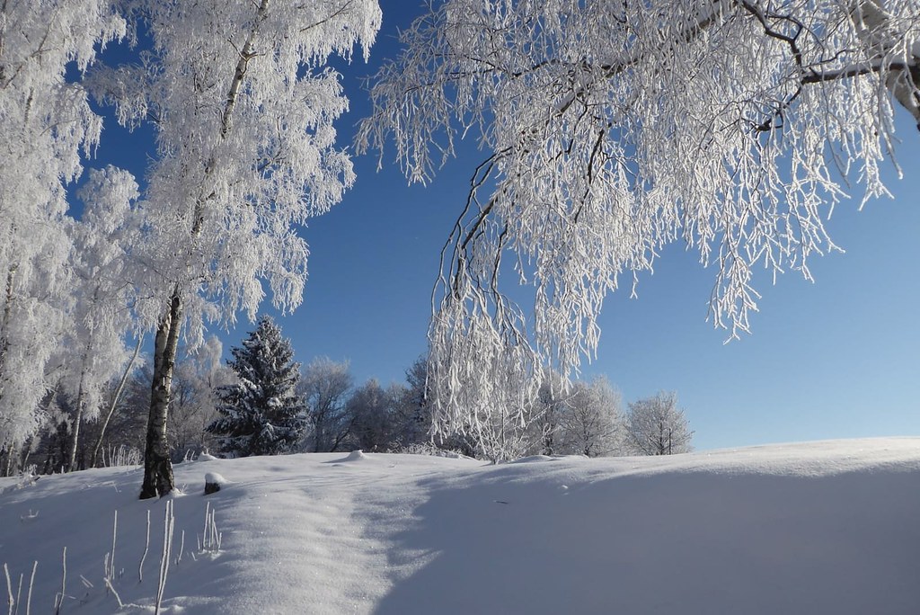 Der Winter zeigt wie magisch die Natur ist 💕