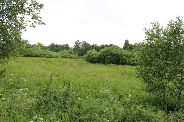 Torfmoor Babice–Číhaná in Babice