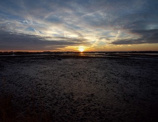 sunset over mud