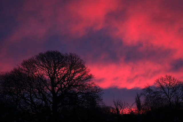 burning red morning sky