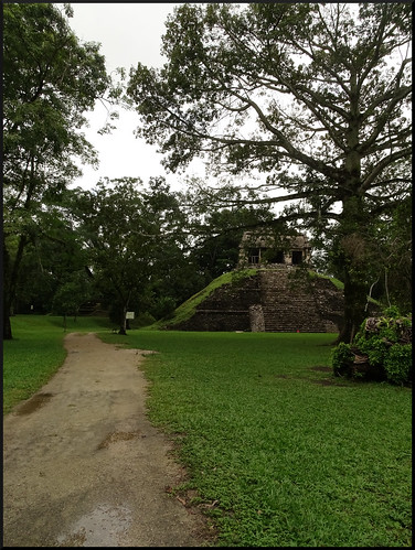 Palenque, cascadas de Misol-Ha y Agua Azul - Yucatán y Palenque, arqueología y naturaleza (10)