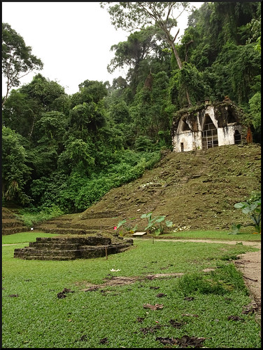 Palenque, cascadas de Misol-Ha y Agua Azul - Yucatán y Palenque, arqueología y naturaleza (6)