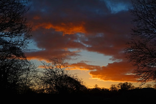 sunrise - Cullompton Leat Fields, Devon
